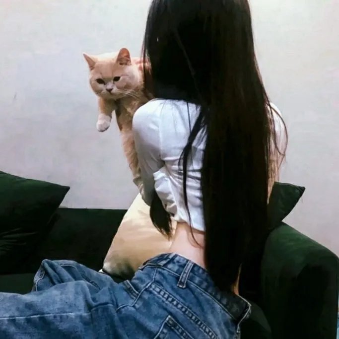 暴走曼哈顿